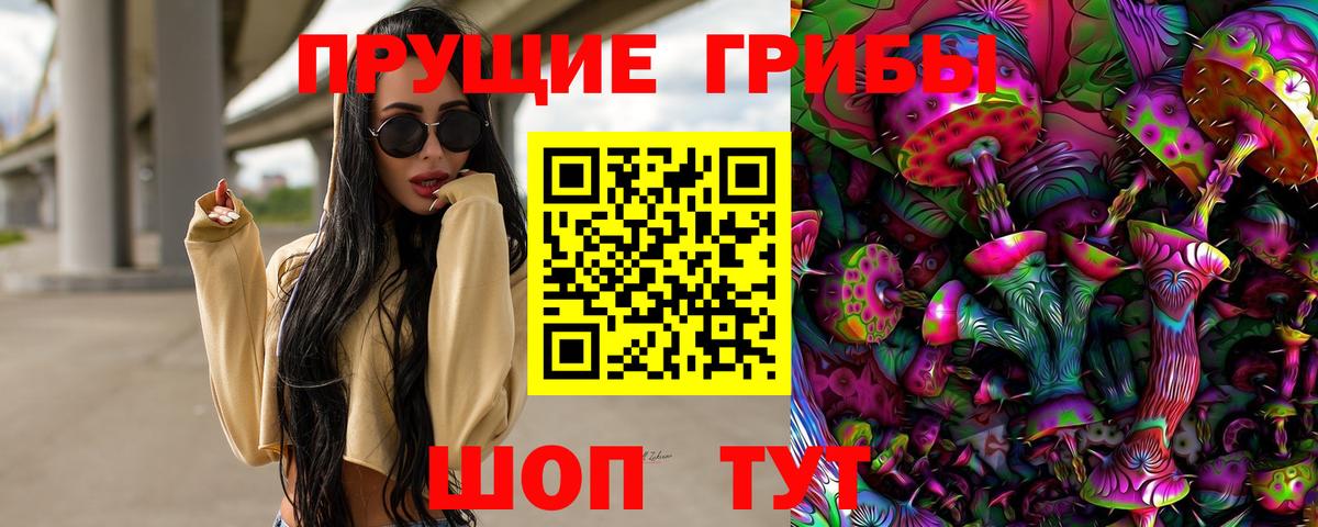 Псилоцибиновые грибы мицелий Менделеевск