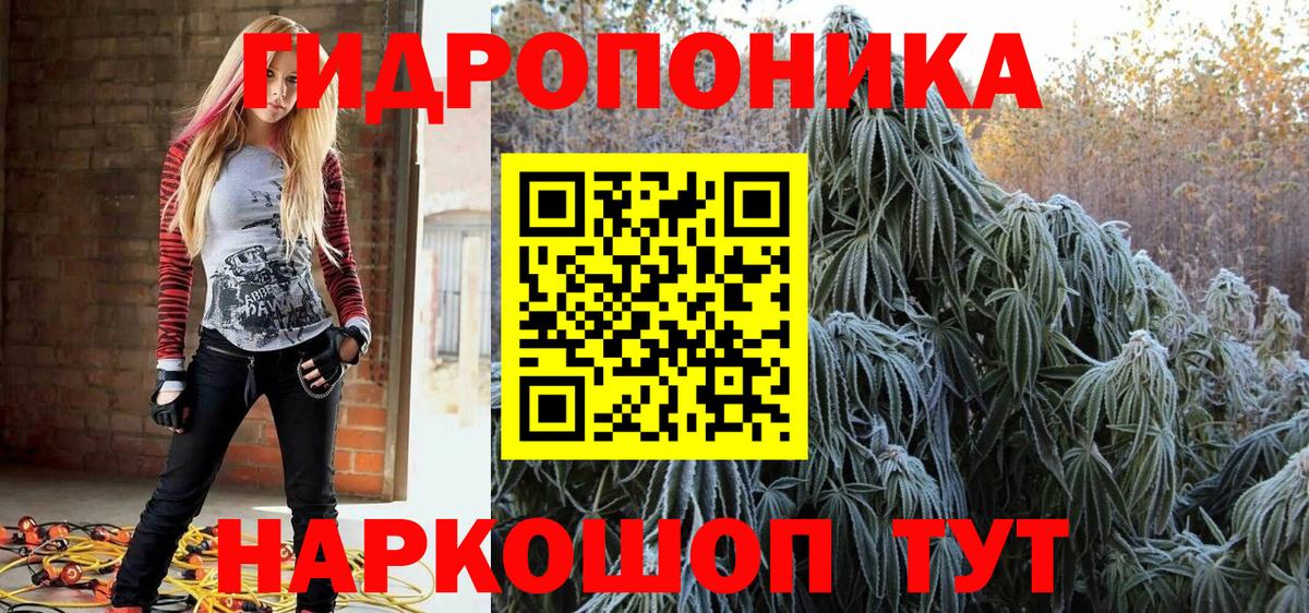 Марихуана Bruce Banner  Каннабис сатива  Менделеевск  МАРИХУАНА конопля 